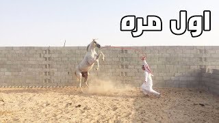 سعودي اول مرة يركب خيل !!!