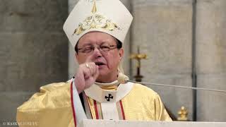 Widzieć, osądzać, działać | abp Grzegorz Ryś