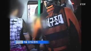 청계천에 물고기가 '둥둥' 떼죽음 원인은… / YTN