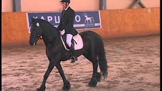 Jelco Z., IBOP под седлом 23.06.2012