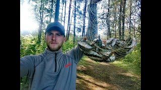 ЛОВЛЯ ОКУНЯ НА ЖИВЦА! ОКУНЬ КАК ИЗ ПУЛЕМЁТА! ЯНОВСКОЕ 2019!