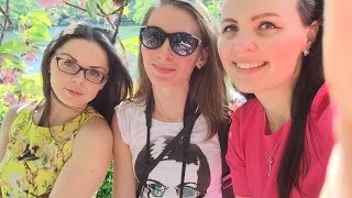 Лягухи - путешественницы: Полтора дня в Токио