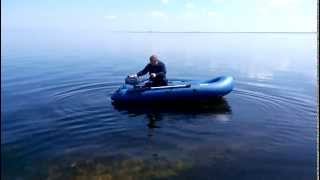 лодочный мотор sea pro 2.5 л.с  и лодка пеликан 299