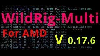 Новый майнер wildrig multi  0.17.6 для amd   NEW miner wildrig multi  0.17.6 for amd