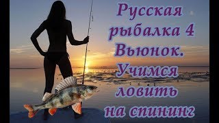 Русская рыбалка 4 река вьюнок  Как ловить на спининг  поднимаем опыт  качаем спининг