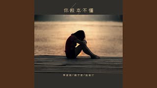 你从来没有爱过我