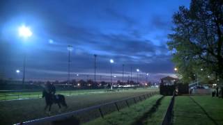 Churchill Downs: There's no place like it