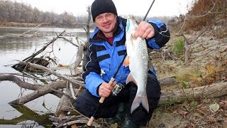 Рыбалка на реке Десна. Осенние зарисовки сезона 2015