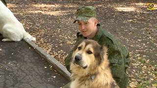 Школьники в гостях у военных кинологов