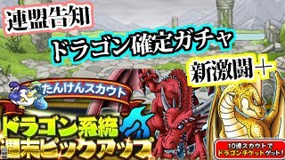 【どこパレ】ドラゴン確定ガチャ！新激闘＋！連盟告知！【どこでもモンパレ】
