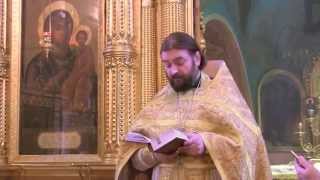 Перечень грехов в "последние дни". Пояснения прот.Андрея Ткачёва.(07.02.2015г.)