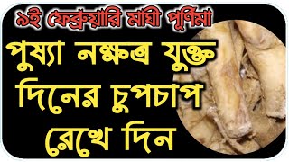 9 ফেব্রুয়ারি মাঘী পূর্ণিমায় এই গাছ পেলেই ভাগ্য ফিরে যাবে এর শিকড় কাছে থাকলে ভুত-প্রেত কালো জাদু