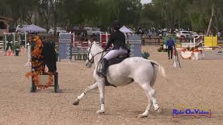 015S Kjersti Horais on Grand Coeur Training 3-Day Show Jumping Galway Downs Nov. 2018