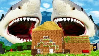 ОГРОМНЫЕ АКУЛЫ НАПАЛИ на ДОМ НУБА в Майнкрафте! НУБИК ПРОТИВ АКУЛА в MINECRAFT ТРОЛЛИНГ ЛОВУШКА