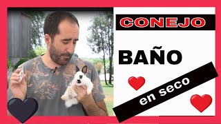 CONEJOS - Baño en seco