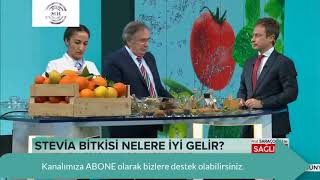 Prof İbrahim Saraçoğlu Şeker Hastaları için Stevia Bitkisi Faydaları Nelerdir? Nasıl Kullanılır?