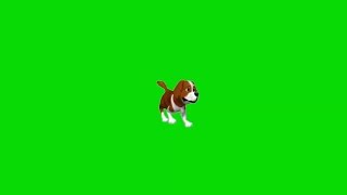 Футаж Собака на зелёном фоне.(Chroma key Dog footage)