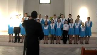Я Озолинь Лес раскинулся дремучий