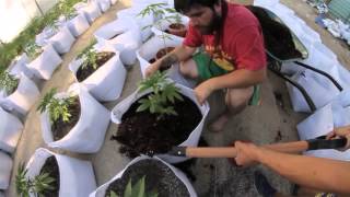 CultivaTV - Capítulo 5