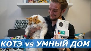 Как сделать умную квартиру, и подглядывать за котами?