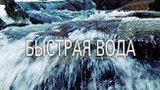 Причины депортации чеченцев в 1944 году.