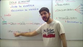 AULA BIOLOGIA FUNDAMENTOS DE ECOLOGIA - ABR 13 - PROF. FELIPE JARDIM
