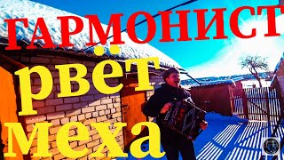 КРАСИВАЯ ПЕСНЯ НА ГАРМОШКЕ!!!КУКУРУЗА ВЫСОКА!Игра на баяне и гармошке!
