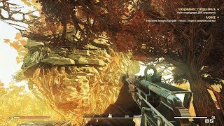 Fallout 76 : Где найти маточное молочко? (2 места)