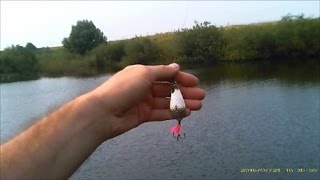 Ловля щуки на блесну летом
