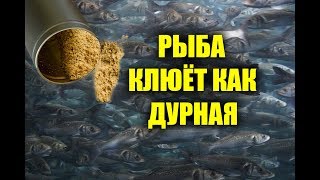 СПЕЦИИ ДЛЯ РЫБАЛКИ, СОБЕРУТ ВСЮ РЫБУ ЕСЛИ СДЕЛАТЬ С НИМИ ПРИКОРМКУ, СВОИМИ РУКАМИ