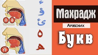 Махрадж Букв Урок №1  буква "ХАМЗА" и практика