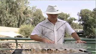 Amazing Grace-version by CrystalHarmony and Vladimir Spivak