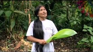 AMA LA VIDA TV - Ecuador- 2da temporada Programa 27 (Pastaza)