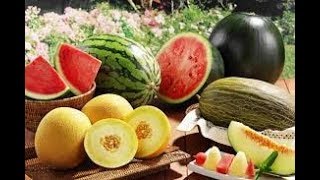 Что выгодней выращивать  на капельном поливе.