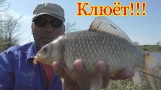 Как доработать рыбацкий садок и ловля на пружины и поплавок. My fishing.