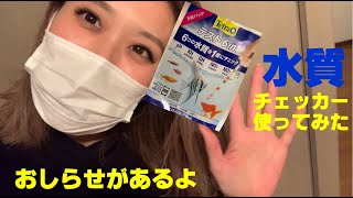 【ウーパールーパー水槽の水質チェック】 6 in 1 試験紙ってなに？？実際に使ってみた結果？！【お知らせもあるよ】