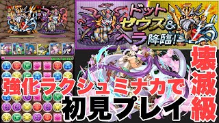 ドット・ゼウス&ヘラ降臨を強化された超転生ラクシュミーで初見プレイ！壊滅級【パズドラ実況】