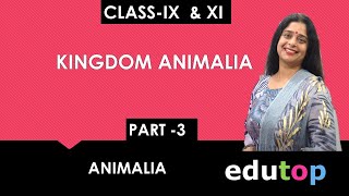KINGDOM ANIMALIA part 3/class 11/class9(DIVERSITY IN LIVING ORGANISMS)