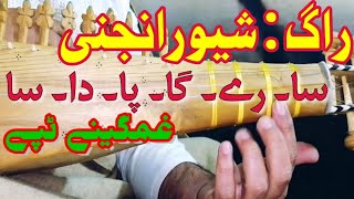 Raag shaivranjni rabab slow motion for learning