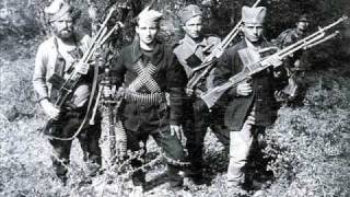 Chetnik`s