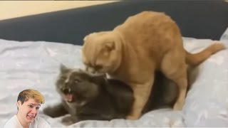 ТЕСТ НА ПСИХИКУ НЕ СМЕЙСЯ ЧЕЛЛЕНДЖ #3