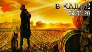[#ВКадре]: обзор сериальных новинок | «Звёздный путь: Пикар», «Проект «Синяя книга».