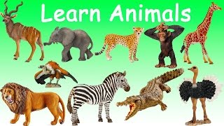 Английский детям. Учим животных из зоопрака.  Learn zoo animals.