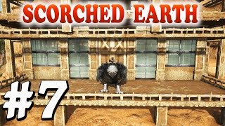 ARK Scorched Earth  -Ep7-  FINISHING THE BASE EXTERIOR Scorched Earth Map Gameplay