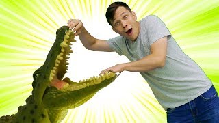 Дикая жизнь - Федор оказался среди животных - Обзор игрушек
