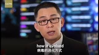 Corona virus in China || Hubei province || Wuhan city