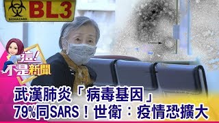 神秘肺炎有限度「人傳人」！春節返鄉潮釀大規模傳染？年輕力壯、身強體健免驚「武漢肺炎」？誤會大了…-【這！不是新聞 精華篇】20200115-5