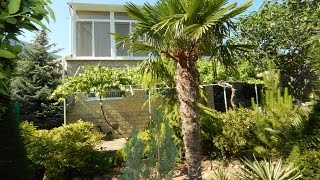 Крым, Ялта. Продажа домов в Мисхоре (лот 350-4-5)... +7-978-015-21-05