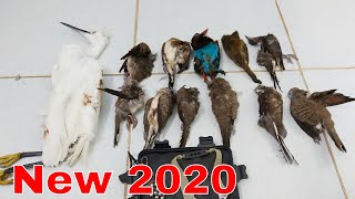 Ná Cao Su Bắn Chim - Khai Ná Đầu Năm 2020