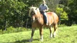 Red's Movie Sep 2010